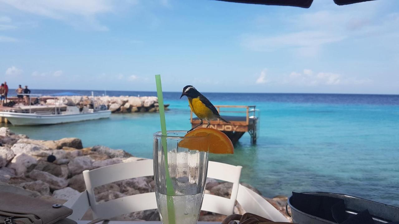 Blue Bay Villa Bon Bini. Willemstad Buitenkant foto