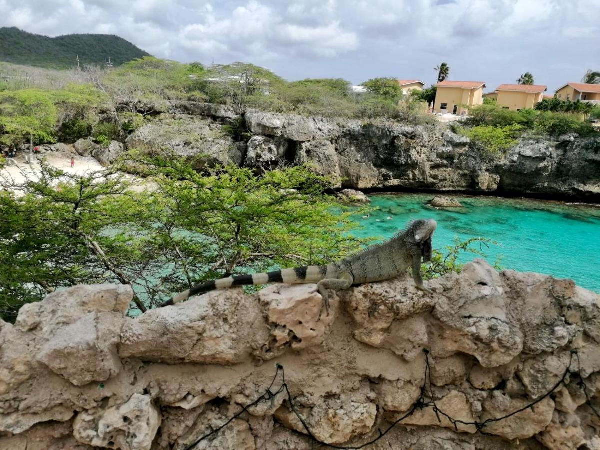 Blue Bay Villa Bon Bini. Willemstad Buitenkant foto